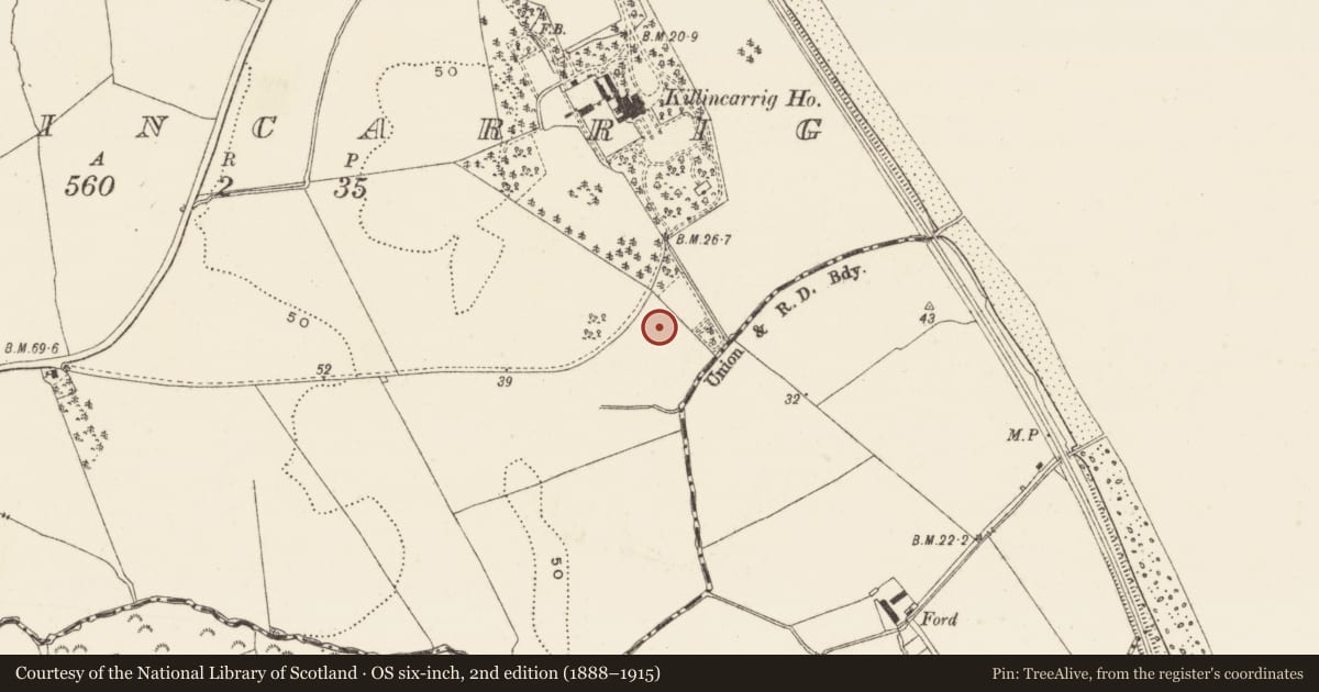 Ordnance Survey six-inch map, 2nd edition (1888–1915) covering the location of Burnt spread, Killincarrig, County Wicklow, with a pin at the register's coordinates