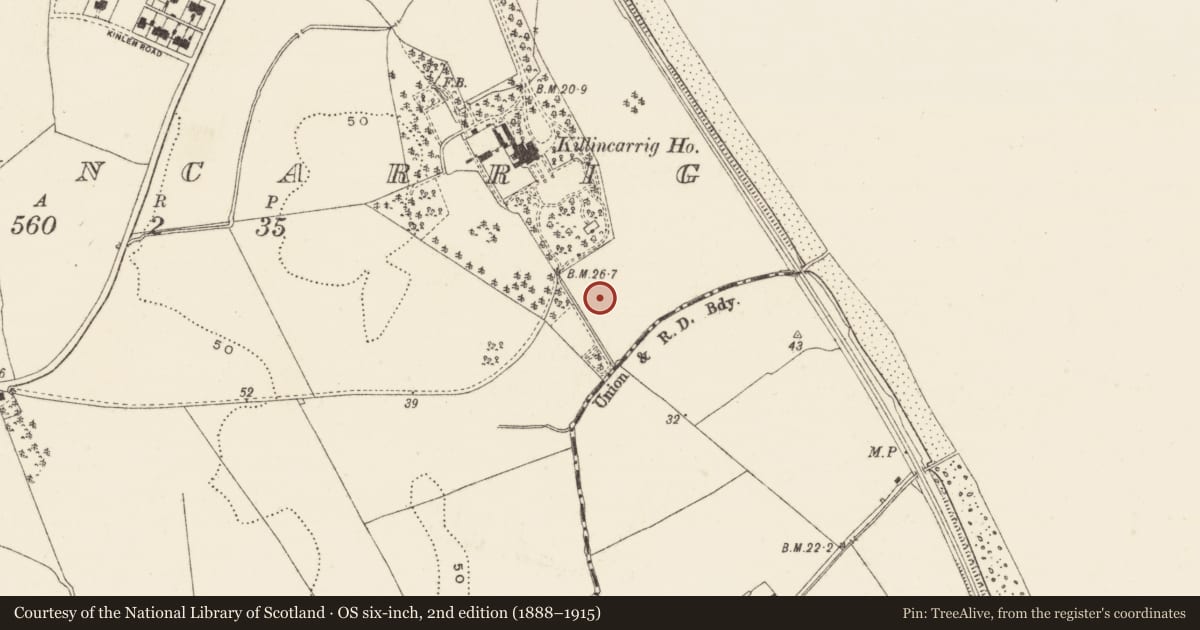 Ordnance Survey six-inch map, 2nd edition (1888–1915) covering the location of Excavation - miscellaneous, Killincarrig, County Wicklow, with a pin at the register's coordinates