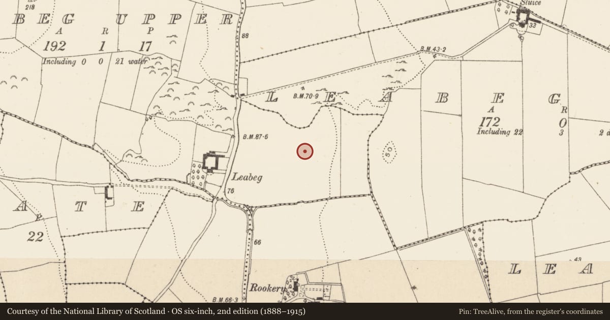Ordnance Survey six-inch map, 2nd edition (1888–1915) covering the location of Standing stone, Leabeg Lower, County Wicklow, with a pin at the register's coordinates