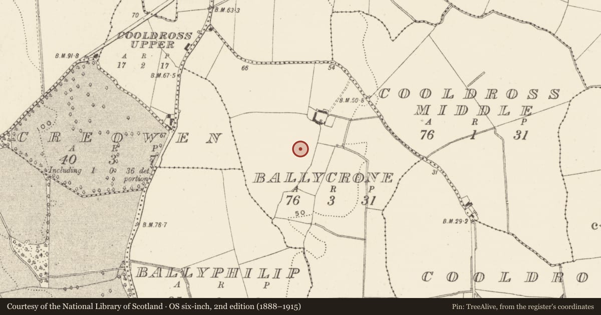 Ordnance Survey six-inch map, 2nd edition (1888–1915) covering the location of Excavation - miscellaneous, Ballycrone, County Wicklow, with a pin at the register's coordinates