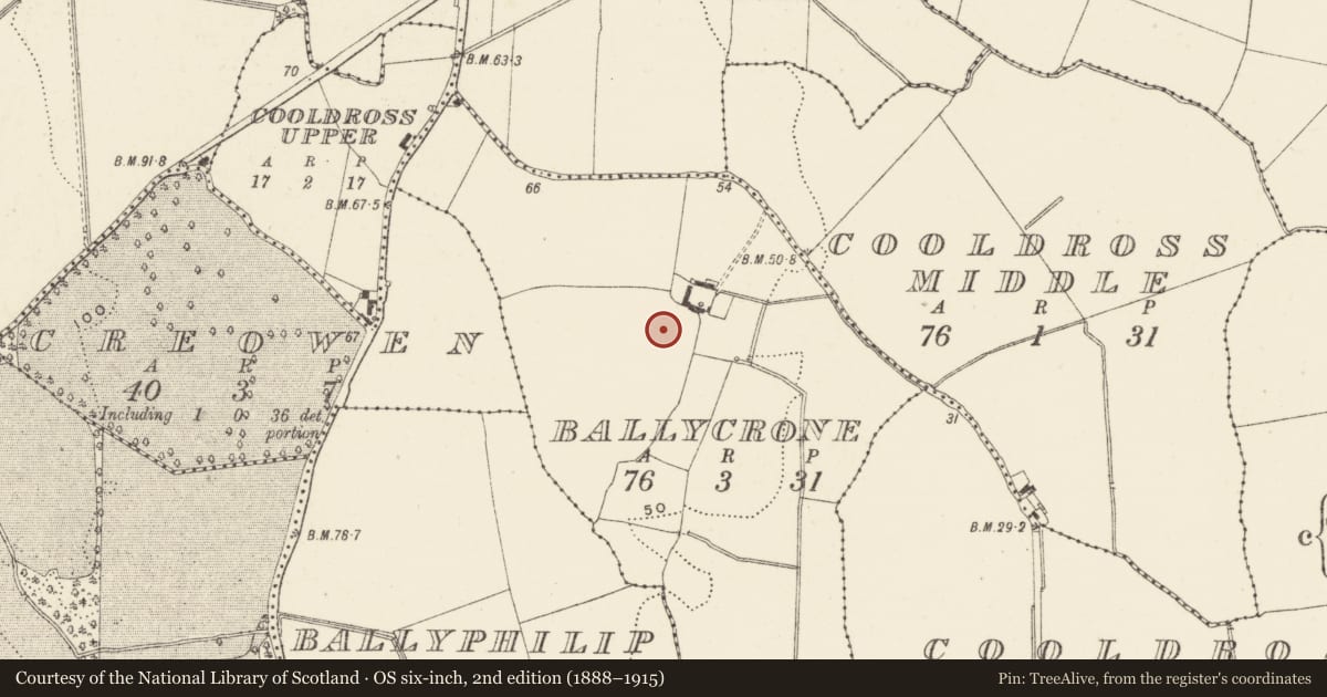 Ordnance Survey six-inch map, 2nd edition (1888–1915) covering the location of Excavation - miscellaneous, Ballycrone, County Wicklow, with a pin at the register's coordinates