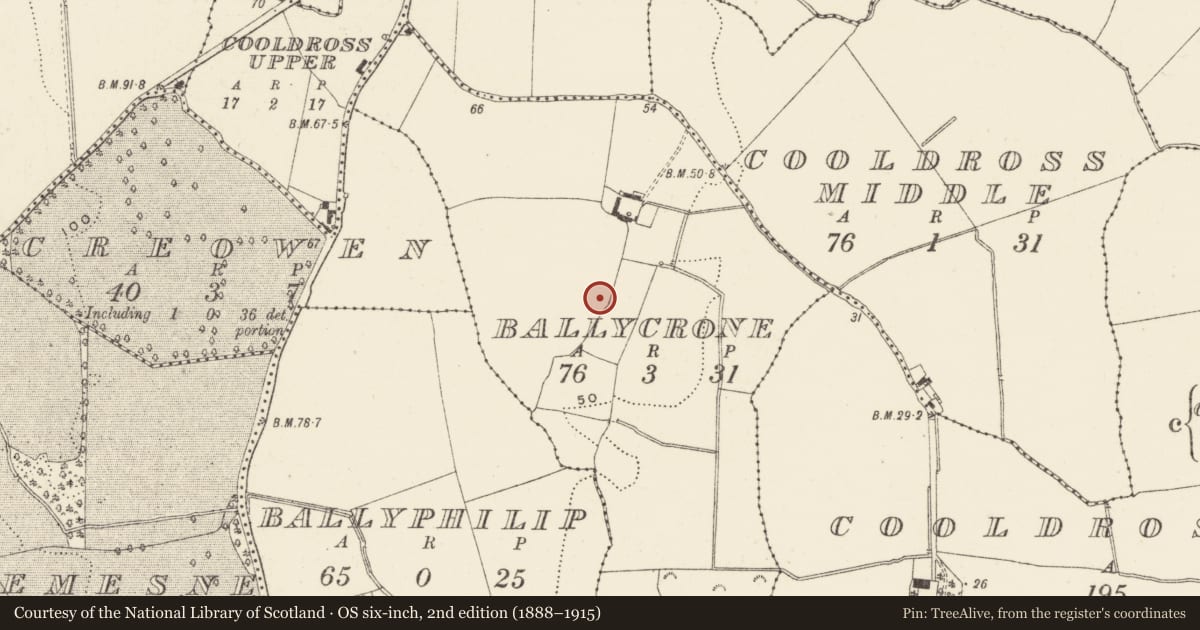 Ordnance Survey six-inch map, 2nd edition (1888–1915) covering the location of Fulacht fia, Ballycrone, County Wicklow, with a pin at the register's coordinates