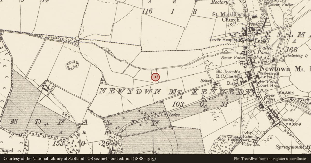 Ordnance Survey six-inch map, 2nd edition (1888–1915) covering the location of Fulacht fia, Newtown Mt. Kennedy, County Wicklow, with a pin at the register's coordinates