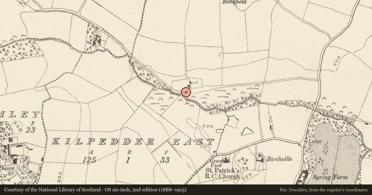 Ordnance Survey six-inch map, 2nd edition (1888–1915) covering the location of Fulacht fia, Priestsnewtown, County Wicklow, with a pin at the register's coordinates