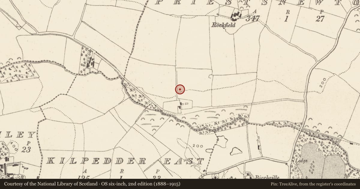 Ordnance Survey six-inch map, 2nd edition (1888–1915) covering the location of Barrow - unclassified, Priestsnewtown, County Wicklow, with a pin at the register's coordinates