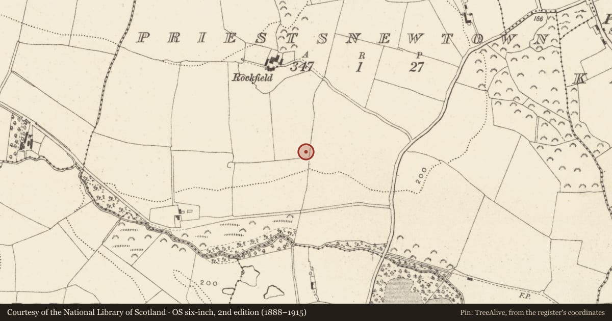Ordnance Survey six-inch map, 2nd edition (1888–1915) covering the location of Excavation - miscellaneous, Priestsnewtown, County Wicklow, with a pin at the register's coordinates