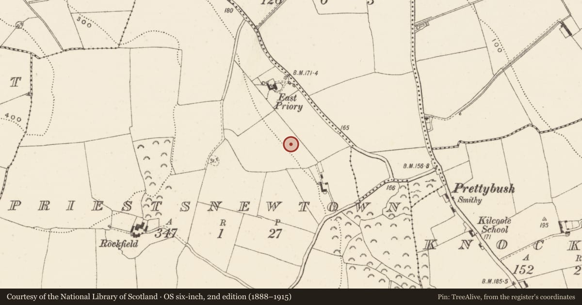 Ordnance Survey six-inch map, 2nd edition (1888–1915) covering the location of Ring-ditch, Priestsnewtown, County Wicklow, with a pin at the register's coordinates