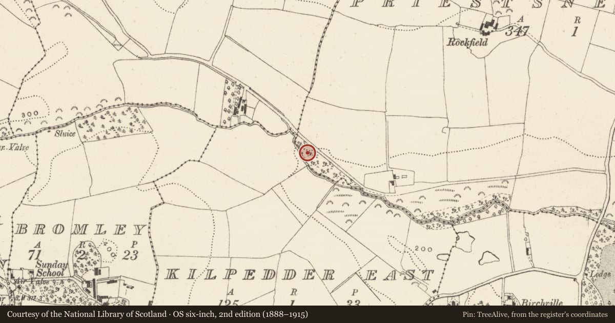 Ordnance Survey six-inch map, 2nd edition (1888–1915) covering the location of Burnt mound, Priestsnewtown, County Wicklow, with a pin at the register's coordinates