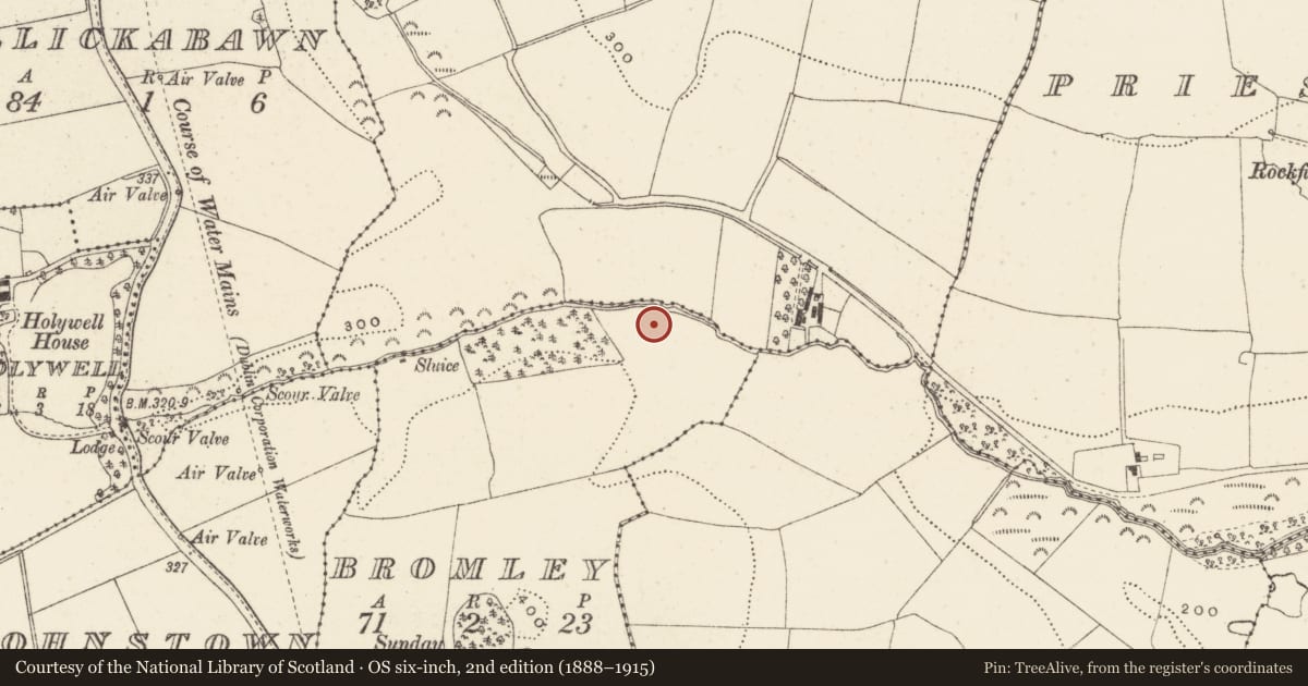 Ordnance Survey six-inch map, 2nd edition (1888–1915) covering the location of Fulacht fia, Bromley, County Wicklow, with a pin at the register's coordinates