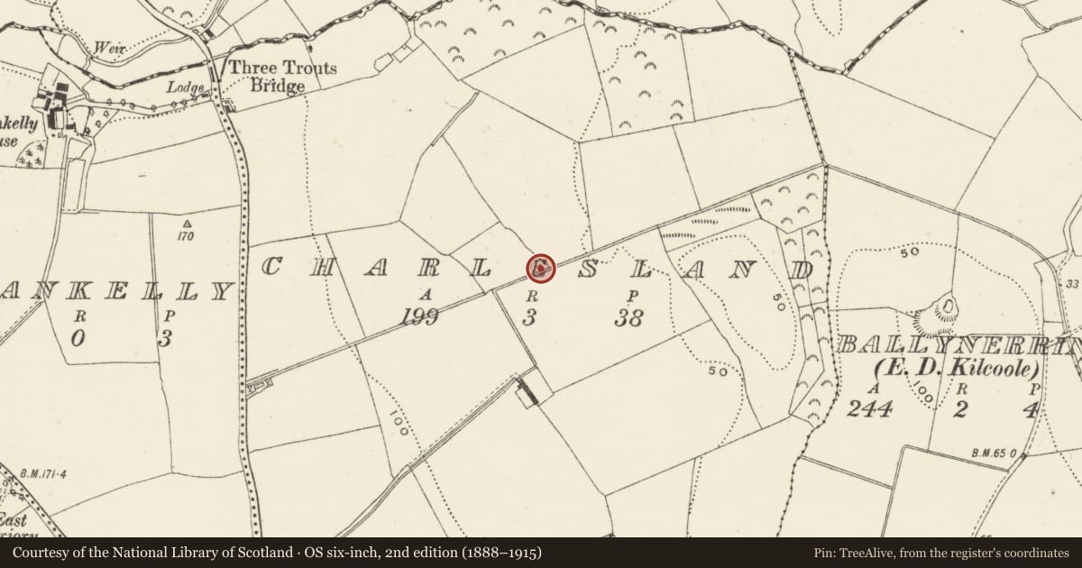 Ordnance Survey six-inch map, 2nd edition (1888–1915) covering the location of Fulacht fia, Charlesland, County Wicklow, with a pin at the register's coordinates