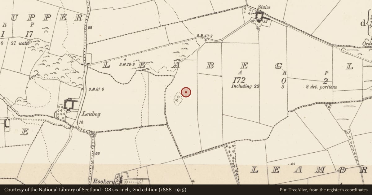 Ordnance Survey six-inch map, 2nd edition (1888–1915) covering the location of Enclosure, Leabeg Lower, County Wicklow, with a pin at the register's coordinates