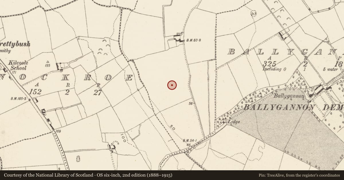 Ordnance Survey six-inch map, 2nd edition (1888–1915) covering the location of Enclosure, Ballynerrin, County Wicklow, with a pin at the register's coordinates