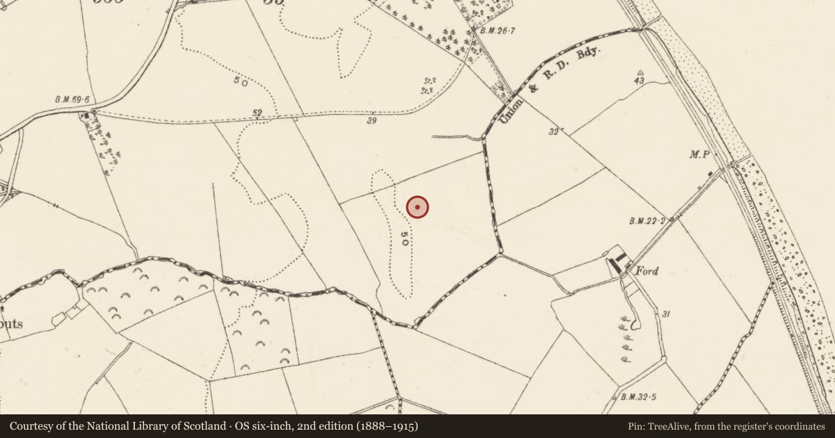 Ordnance Survey six-inch map, 2nd edition (1888–1915) covering the location of Earthwork, Ballynerrin, County Wicklow, with a pin at the register's coordinates