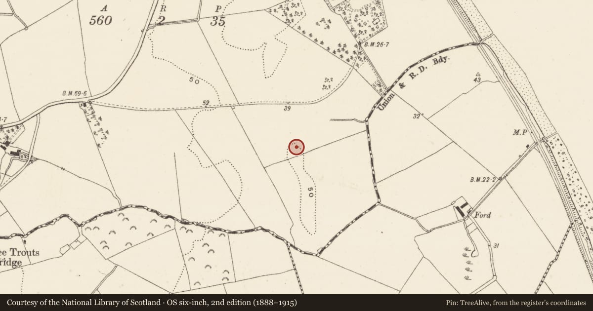 Ordnance Survey six-inch map, 2nd edition (1888–1915) covering the location of Habitation site, Killincarrig, County Wicklow, with a pin at the register's coordinates
