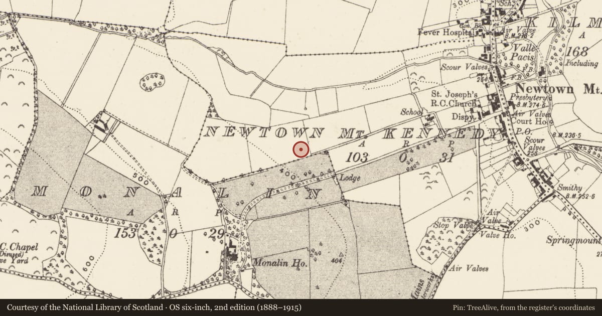 Ordnance Survey six-inch map, 2nd edition (1888–1915) covering the location of Ringfort - rath, Newtown Mt. Kennedy, County Wicklow, with a pin at the register's coordinates