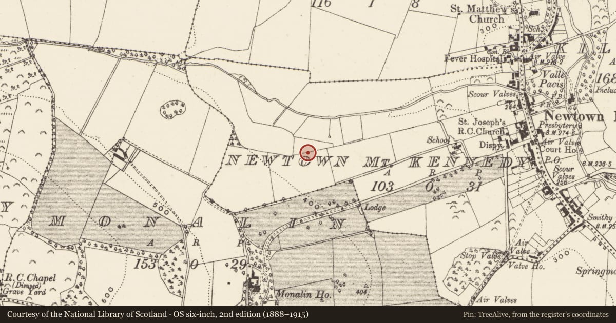 Ordnance Survey six-inch map, 2nd edition (1888–1915) covering the location of Habitation site, Newtown Mt. Kennedy, County Wicklow, with a pin at the register's coordinates