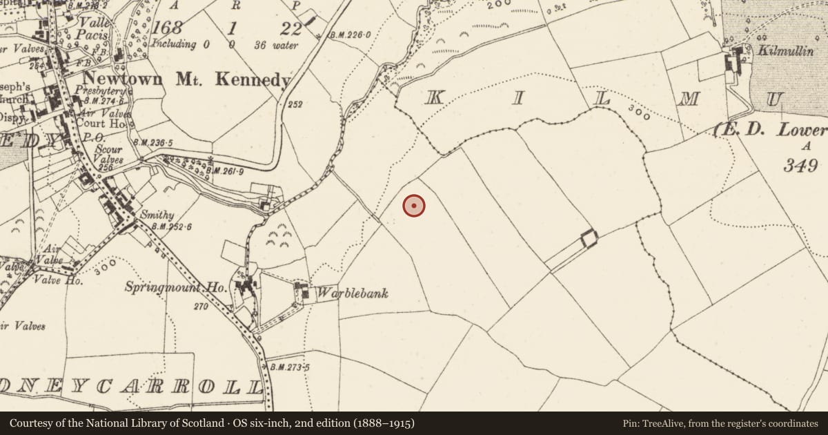 Ordnance Survey six-inch map, 2nd edition (1888–1915) covering the location of Enclosure, Kilmullin, County Wicklow, with a pin at the register's coordinates