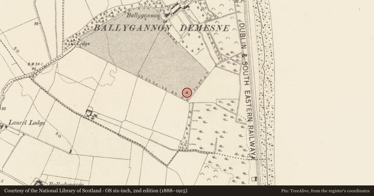 Ordnance Survey six-inch map, 2nd edition (1888–1915) covering the location of Ringfort - rath, Ballygannon, County Wicklow, with a pin at the register's coordinates