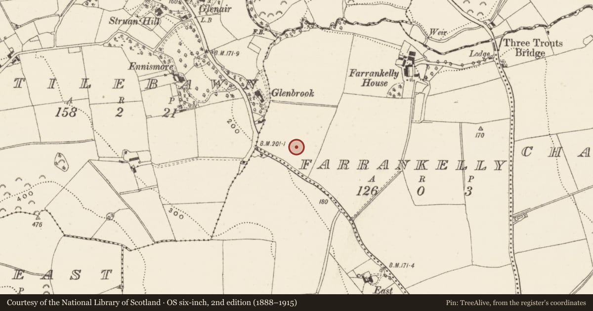 Ordnance Survey six-inch map, 2nd edition (1888–1915) covering the location of Flat cemetery, Farrankelly, County Wicklow, with a pin at the register's coordinates