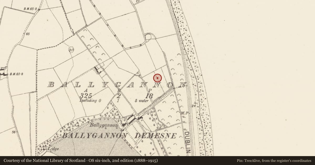 Ordnance Survey six-inch map, 2nd edition (1888–1915) covering the location of Signal tower, Ballygannon, County Wicklow, with a pin at the register's coordinates