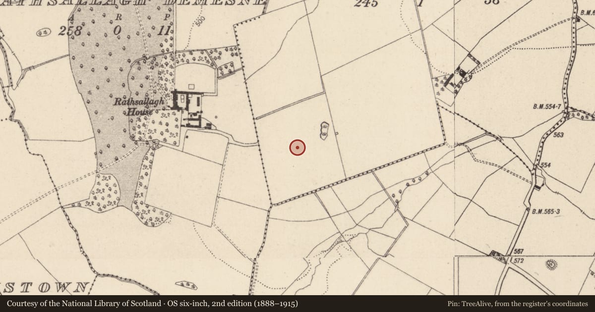 Ordnance Survey six-inch map, 2nd edition (1888–1915) covering the location of Burial ground, Oldcourt, County Wicklow, with a pin at the register's coordinates