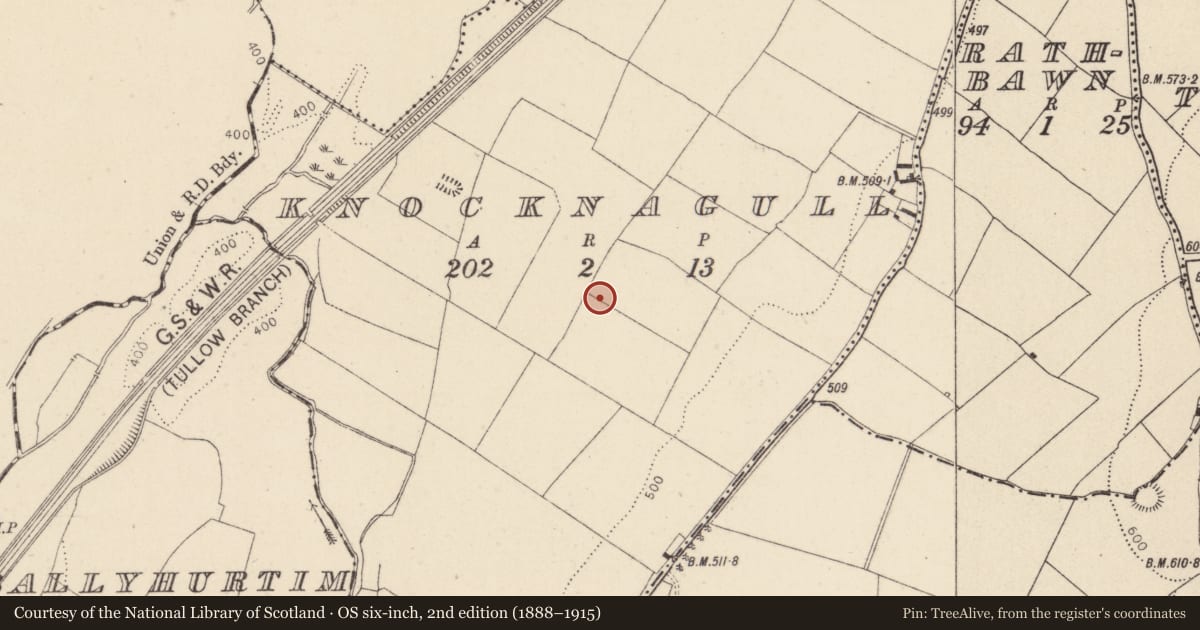 Ordnance Survey six-inch map, 2nd edition (1888–1915) covering the location of Ring-ditch, Knocknagull, County Wicklow, with a pin at the register's coordinates