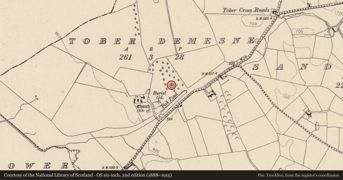 Ordnance Survey six-inch map, 2nd edition (1888–1915) covering the location of Mound, Tober Demesne, County Wicklow, with a pin at the register's coordinates
