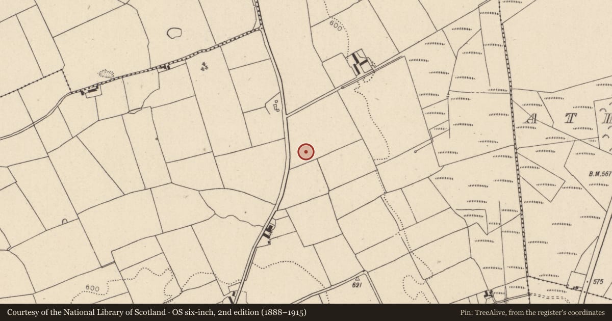 Ordnance Survey six-inch map, 2nd edition (1888–1915) covering the location of Burial ground, Crehelp, County Wicklow, with a pin at the register's coordinates