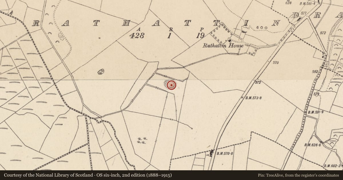 Ordnance Survey six-inch map, 2nd edition (1888–1915) covering the location of Ringfort - rath, Rathattin, County Wicklow, with a pin at the register's coordinates