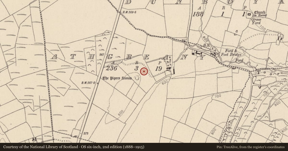 Ordnance Survey six-inch map, 2nd edition (1888–1915) covering the location of Rock art, Athgreany, County Wicklow, with a pin at the register's coordinates