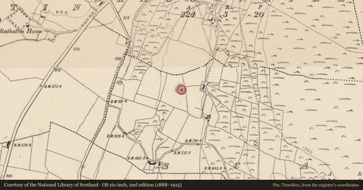 Ordnance Survey six-inch map, 2nd edition (1888–1915) covering the location of Ringfort - rath, Scalp, County Wicklow, with a pin at the register's coordinates