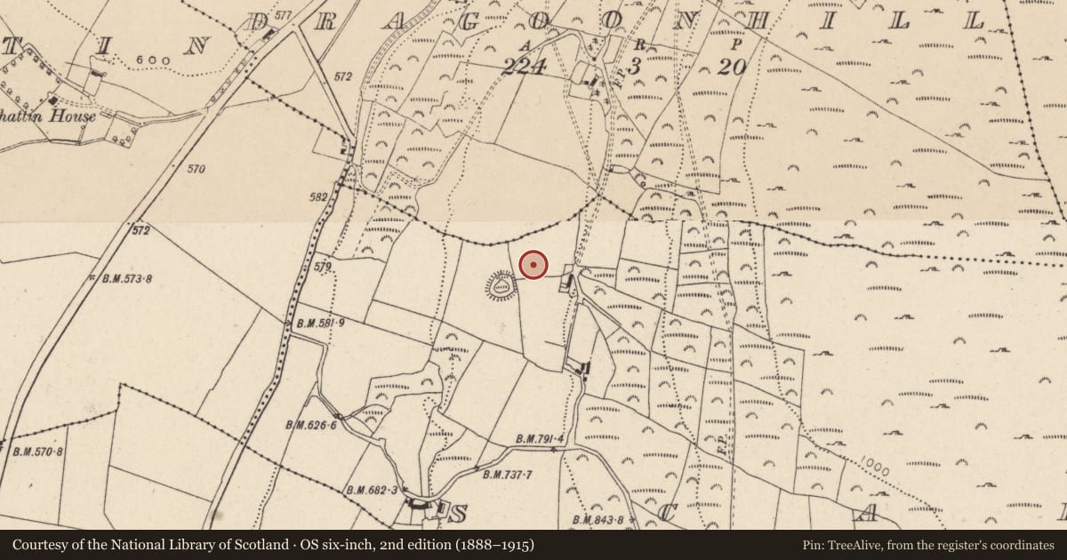 Ordnance Survey six-inch map, 2nd edition (1888–1915) covering the location of Bullaun stone, Scalp, County Wicklow, with a pin at the register's coordinates
