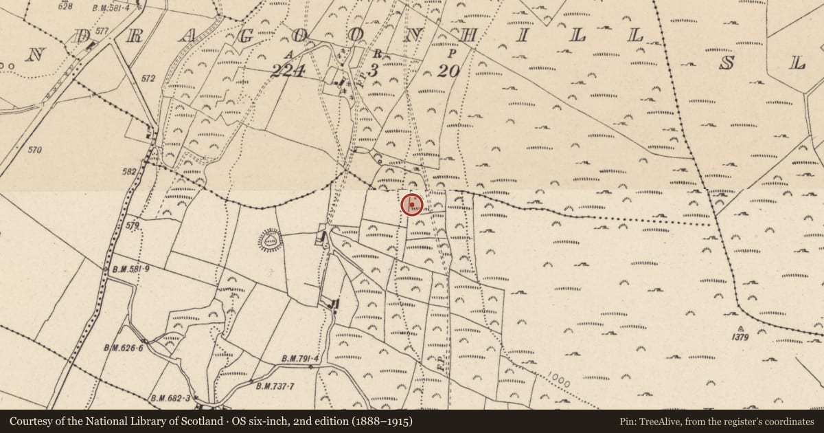Ordnance Survey six-inch map, 2nd edition (1888–1915) covering the location of Enclosure, Scalp, County Wicklow, with a pin at the register's coordinates