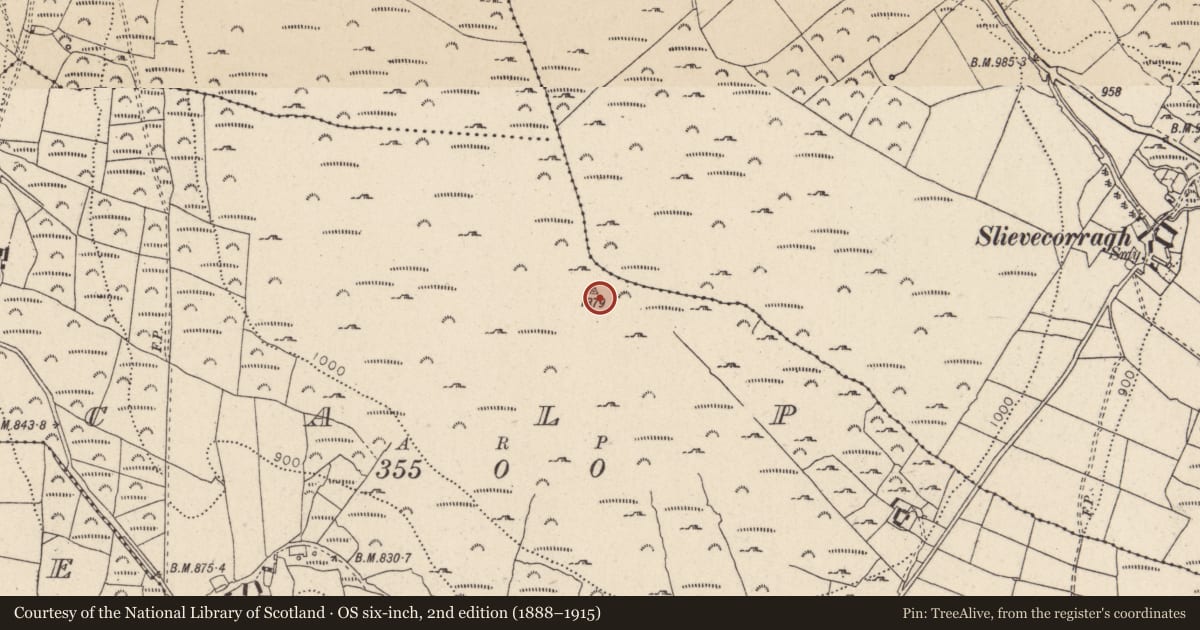Ordnance Survey six-inch map, 2nd edition (1888–1915) covering the location of Cairn - unclassified, Scalp, County Wicklow, with a pin at the register's coordinates