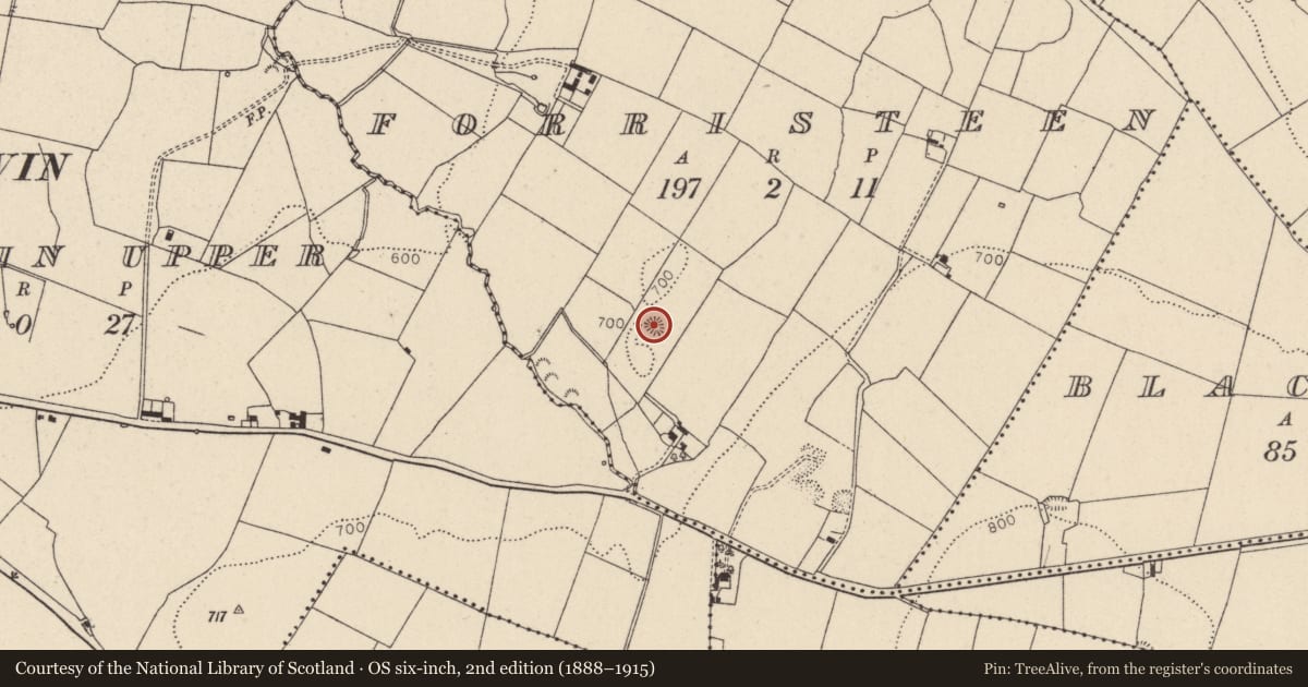 Ordnance Survey six-inch map, 2nd edition (1888–1915) covering the location of Anomalous stone group, Forristeen, County Wicklow, with a pin at the register's coordinates