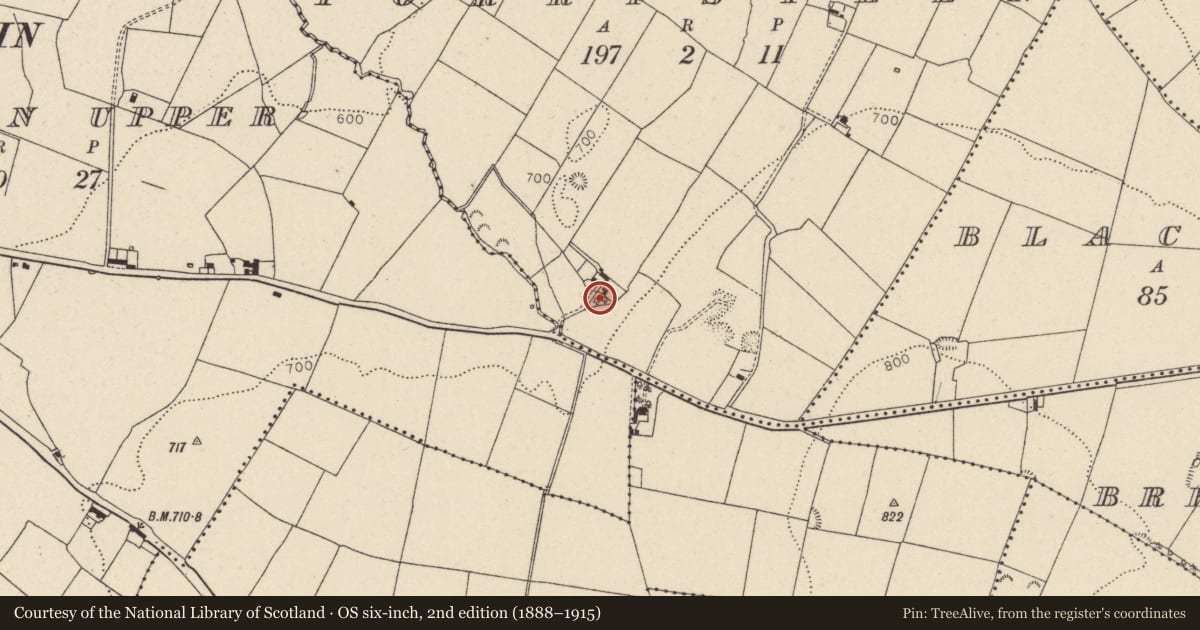 Ordnance Survey six-inch map, 2nd edition (1888–1915) covering the location of Stone circle, Forristeen, County Wicklow, with a pin at the register's coordinates