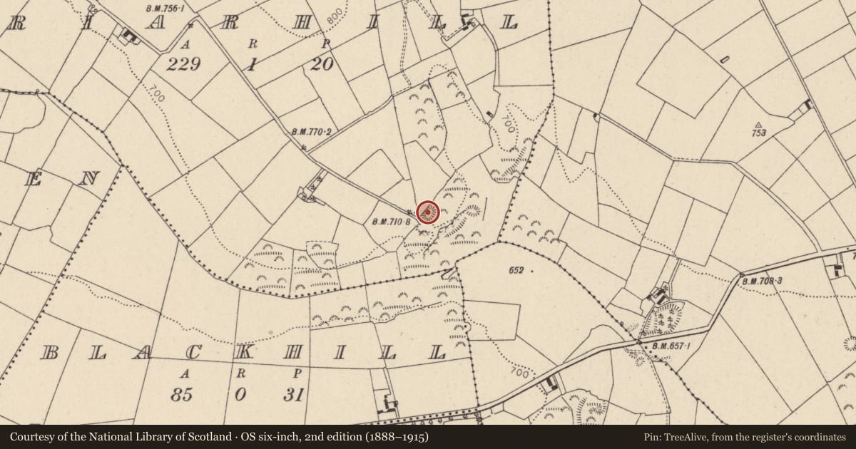 Ordnance Survey six-inch map, 2nd edition (1888–1915) covering the location of Burial mound, Friarhill, County Wicklow, with a pin at the register's coordinates