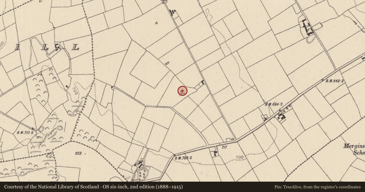 Ordnance Survey six-inch map, 2nd edition (1888–1915) covering the location of Burial mound, Crehelp, County Wicklow, with a pin at the register's coordinates