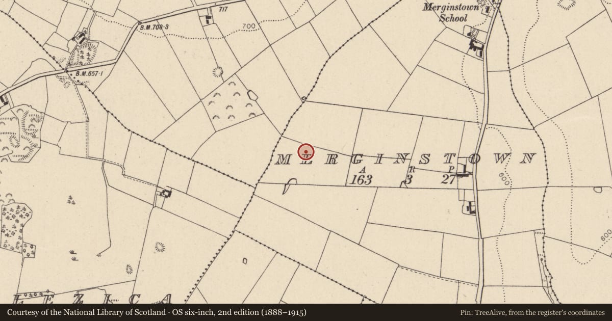 Ordnance Survey six-inch map, 2nd edition (1888–1915) covering the location of Barrow - ring-barrow, Merginstown, County Wicklow, with a pin at the register's coordinates