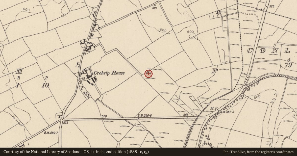 Ordnance Survey six-inch map, 2nd edition (1888–1915) covering the location of Bullaun stone, Crehelp, County Wicklow, with a pin at the register's coordinates