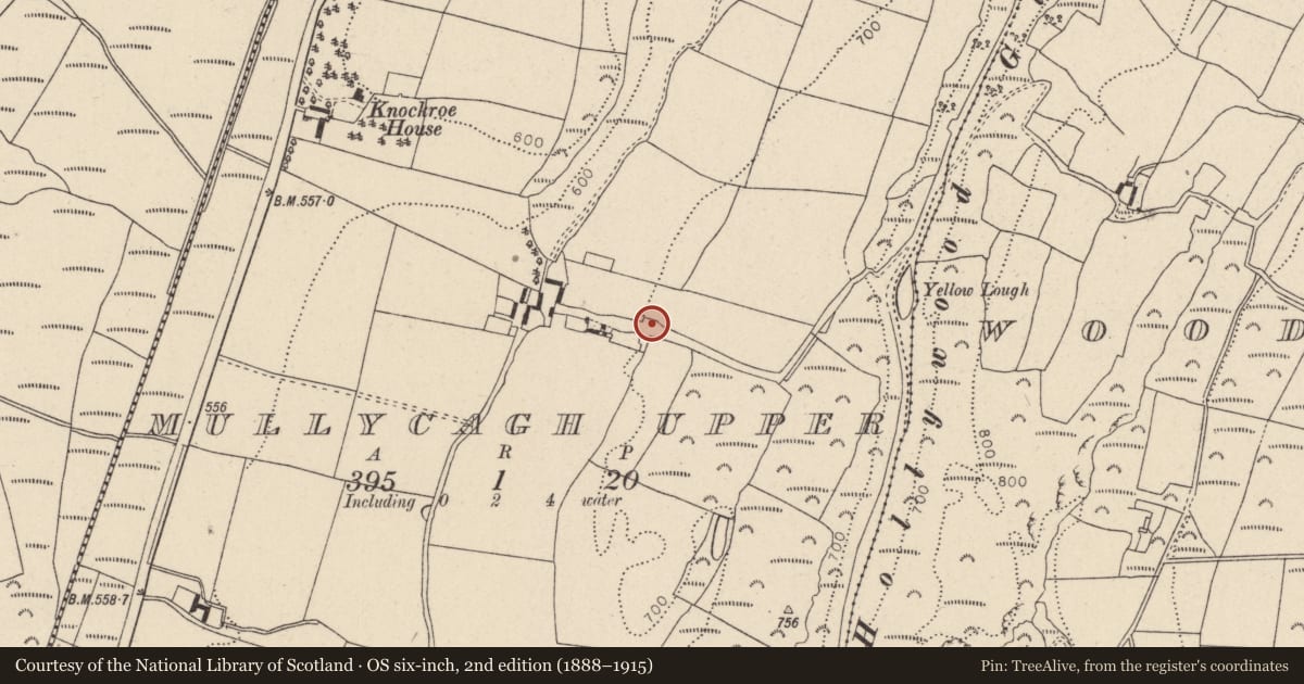 Ordnance Survey six-inch map, 2nd edition (1888–1915) covering the location of Mound, Mullycagh Upper, County Wicklow, with a pin at the register's coordinates