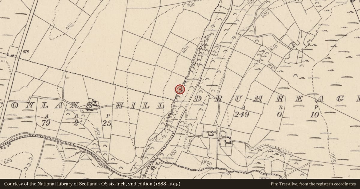 Ordnance Survey six-inch map, 2nd edition (1888–1915) covering the location of Ringfort - rath, Athgreany, County Wicklow, with a pin at the register's coordinates