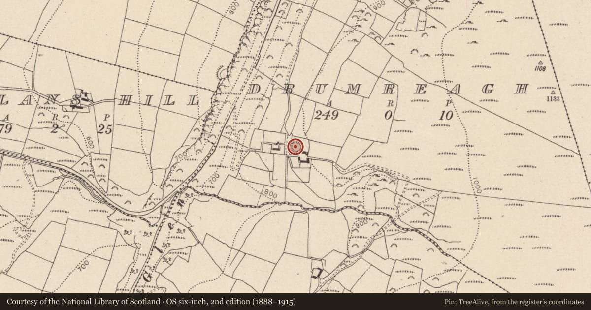Ordnance Survey six-inch map, 2nd edition (1888–1915) covering the location of Ringfort - rath, Drumreagh, County Wicklow, with a pin at the register's coordinates