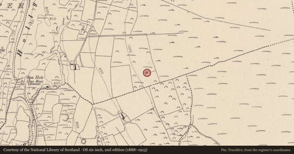 Ordnance Survey six-inch map, 2nd edition (1888–1915) covering the location of Ringfort - rath, Woodenboley, County Wicklow, with a pin at the register's coordinates
