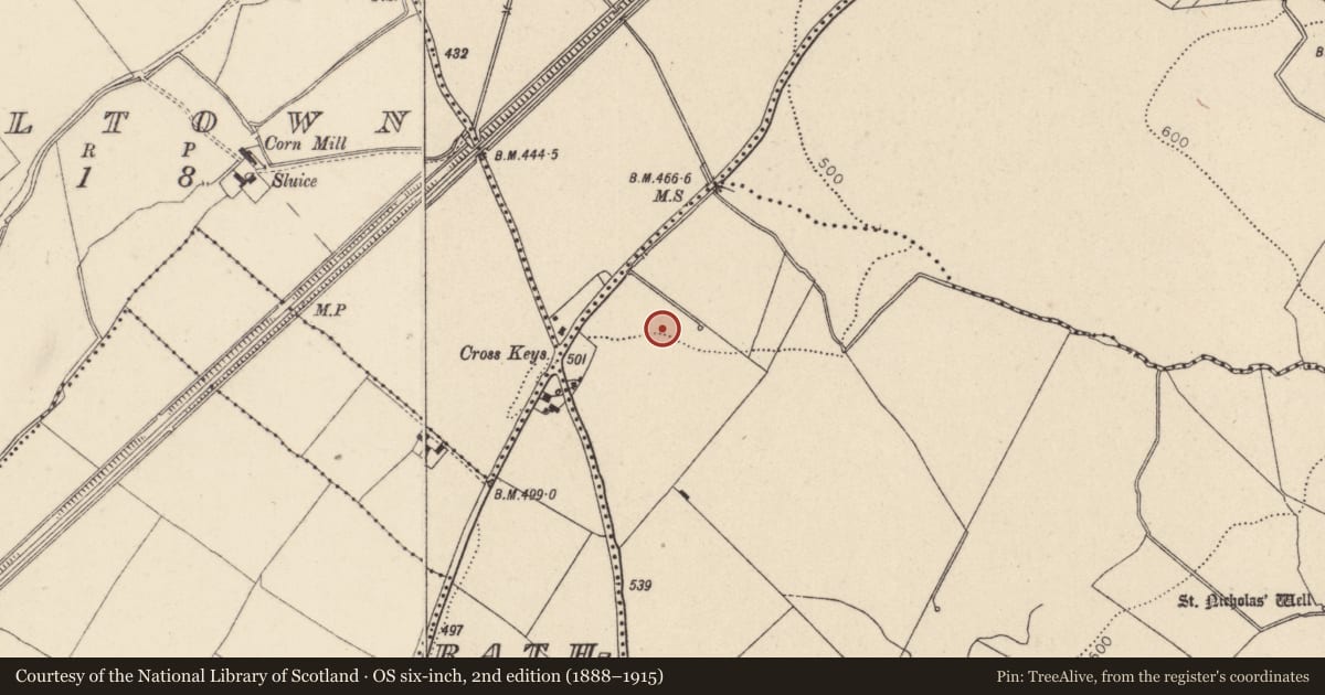 Ordnance Survey six-inch map, 2nd edition (1888–1915) covering the location of Enclosure, Tornant Lower, County Wicklow, with a pin at the register's coordinates