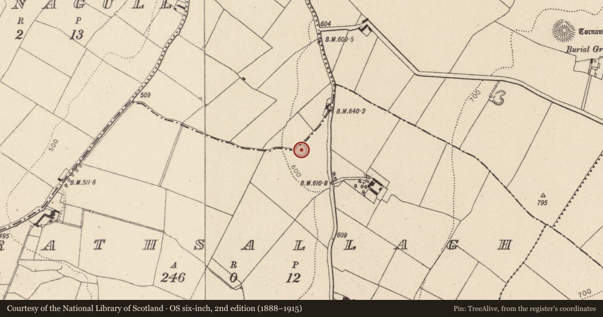 Ordnance Survey six-inch map, 2nd edition (1888–1915) covering the location of Enclosure, Rathsallagh, County Wicklow, with a pin at the register's coordinates