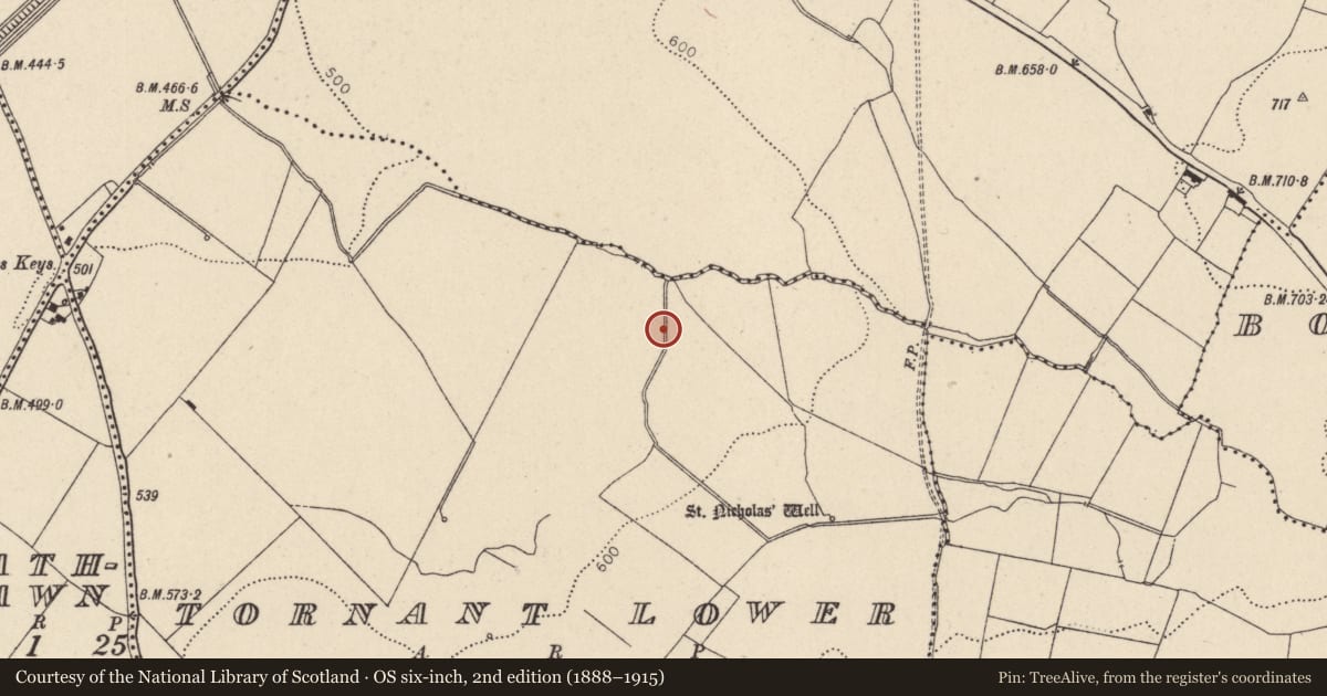 Ordnance Survey six-inch map, 2nd edition (1888–1915) covering the location of Enclosure, Tornant Lower, County Wicklow, with a pin at the register's coordinates