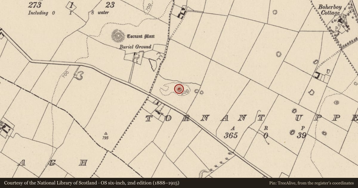 Ordnance Survey six-inch map, 2nd edition (1888–1915) covering the location of Megalithic tomb - passage tomb, Tornant Upper, County Wicklow, with a pin at the register's coordinates