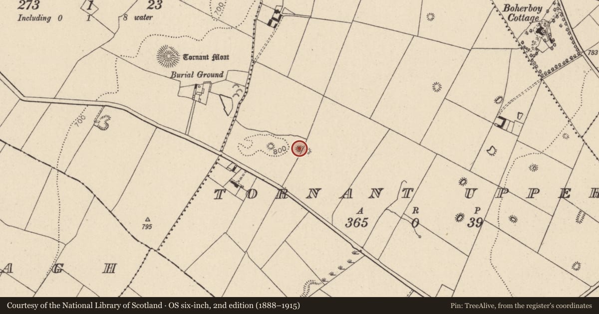 Ordnance Survey six-inch map, 2nd edition (1888–1915) covering the location of Stone circle, Tornant Upper, County Wicklow, with a pin at the register's coordinates