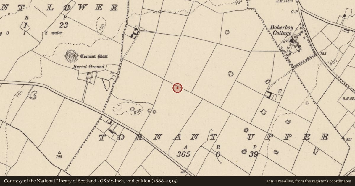 Ordnance Survey six-inch map, 2nd edition (1888–1915) covering the location of Standing stone, Tornant Upper, County Wicklow, with a pin at the register's coordinates